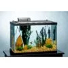 Tetra Aquarium + LED Lighting & Decor Fish Aquariums, 20-gal 2 Tetra Aquarium + LED Lighting & Decor Fish Aquariums, 20-gal -Plax Penn Shop 696158 MAIN. AC SS1800 V1671644229