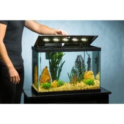 Tetra Aquarium + LED Lighting & Decor Fish Aquariums, 20-gal -Plax Penn Shop 696158 PT5. AC SS1800 V1671650151