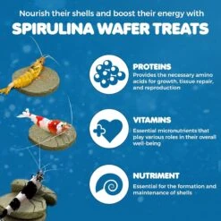 SunGrow Growth Supplement For Freshwater Aquarium Bottom Feeders & Cherry Shrimp Food, 1.75-oz Bag 8 SunGrow Growth Supplement For Freshwater Aquarium Bottom Feeders & Cherry Shrimp Food, 1.75-oz Bag -Plax Penn Shop 697486 PT2. AC SS1800 V1686843150