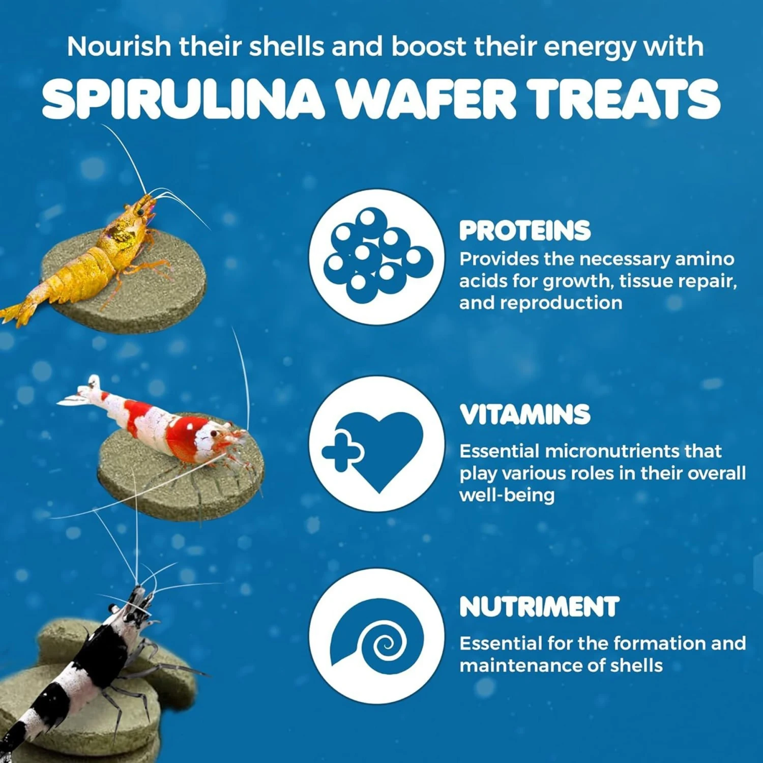 SunGrow Growth Supplement For Freshwater Aquarium Bottom Feeders & Cherry Shrimp Food, 1.75-oz Bag 5 SunGrow Growth Supplement For Freshwater Aquarium Bottom Feeders & Cherry Shrimp Food, 1.75-oz Bag - Image 3