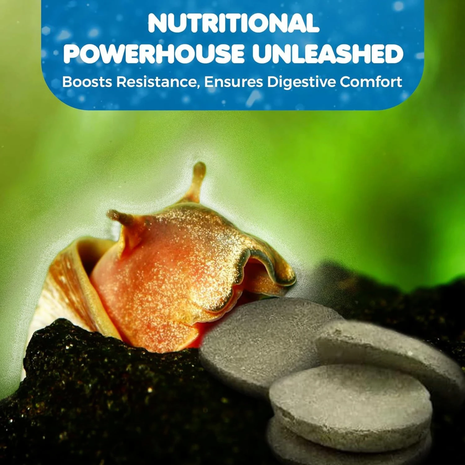 SunGrow Growth Supplement For Freshwater Aquarium Bottom Feeders & Cherry Shrimp Food, 1.75-oz Bag 6 SunGrow Growth Supplement For Freshwater Aquarium Bottom Feeders & Cherry Shrimp Food, 1.75-oz Bag - Image 4