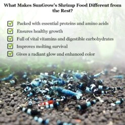 SunGrow Probiotic Powder Supplement For Freshwater Aquarium Baby Cherry Shrimp Food, 2-oz Bag -Plax Penn Shop 697502 PT2. AC SS1800 V1683815627