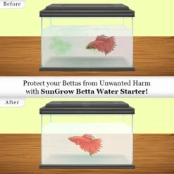 SunGrow Tap Water Conditioner With Beneficial Bacteria For Freshwater Aquarium Treatments Detoxify Fish Tank Ammonia Remover, 6.7-oz Bottle -Plax Penn Shop 699678 PT2. AC SS1800 V1682953206