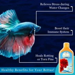 SunGrow Tap Water Conditioner With Beneficial Bacteria For Freshwater Aquarium Treatments Detoxify Fish Tank Ammonia Remover, 6.7-oz Bottle -Plax Penn Shop 699678 PT3. AC SS1800 V1682953254