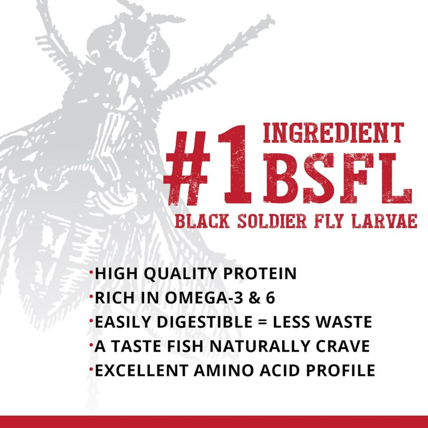 Fluval Fl Bug Bites Cichlid Formula Small Granules Fish Food 6 Fluval Fl Bug Bites Cichlid Formula Small Granules Fish Food - Image 4