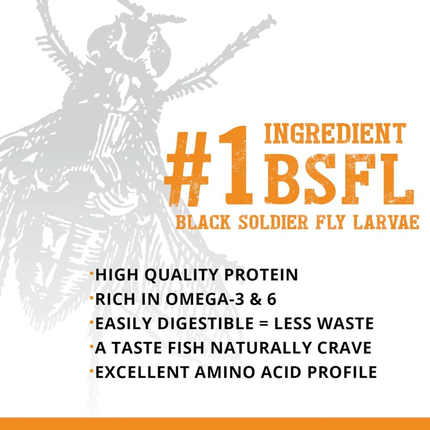 Fluval Fl Bugbites Goldfish Formula Small Granules Fish Food 6 Fluval Fl Bugbites Goldfish Formula Small Granules Fish Food - Image 4