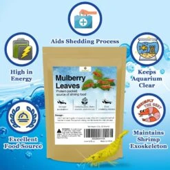 SunGrow Dried Mulberry Leaves Growth Supplement For Freshwater Aquarium Snail & Cherry Shrimp Food -Plax Penn Shop 712942 PT2. AC SS1800 V1688417253