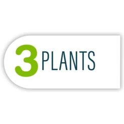 GloFish Fluorescent Aquarium Plant, 3 Count -Plax Penn Shop 714518 PT7. AC SS1800 V1670616721