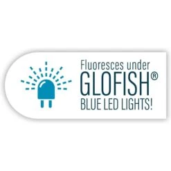 GloFish Mini Anemone Aquarium Ornament, 2 Count 15 GloFish Mini Anemone Aquarium Ornament, 2 Count -Plax Penn Shop 714558 PT6. AC SS1800 V1670617519