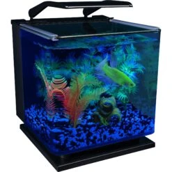 GloFish Aquarium Ornament Barrels, Large -Plax Penn Shop 714574 PT2. AC SS1800 V1670616779