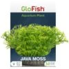 GloFish Javamoss Aquarium Plant -Plax Penn Shop 714686 MAIN. AC SS1800 V1670616720