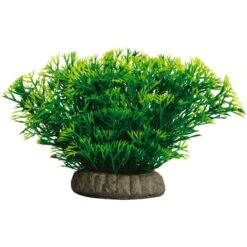 GloFish Javamoss Aquarium Plant -Plax Penn Shop 714686 PT2. AC SS1800 V1670614733