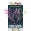 GloFish Red Algae Aquarium Plant -Plax Penn Shop 714702 MAIN. AC SS1800 V1670614675