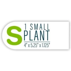 GloFish Red Algae Aquarium Plant -Plax Penn Shop 714702 PT6. AC SS1800 V1670614673