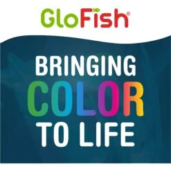 GloFish Betta Aquarium Water Balance, 2-oz Bottle -Plax Penn Shop 714974 PT8. AC SS1800 V1670619628
