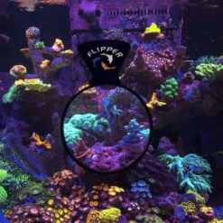 Flipper DeepSee Viewer Max Fish Coral Care -Plax Penn Shop 755342 PT2. AC SS1800 V1673466984
