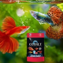 Cobalt Aquatics Select Color Flakes Fish Food 11 Cobalt Aquatics Select Color Flakes Fish Food -Plax Penn Shop 765742 PT3. AC SS1800 V1676322116