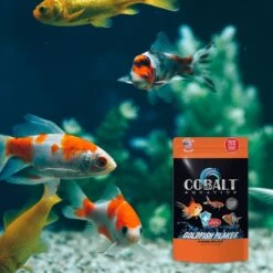 Cobalt Aquatics Select Goldfish Color Fish Food -Plax Penn Shop 765758 PT3. AC SS1800 V1676322172