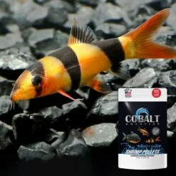 Cobalt Aquatics Select Shrimp Pellets Fish Food -Plax Penn Shop 765806 PT3. AC SS1800 V1676322116