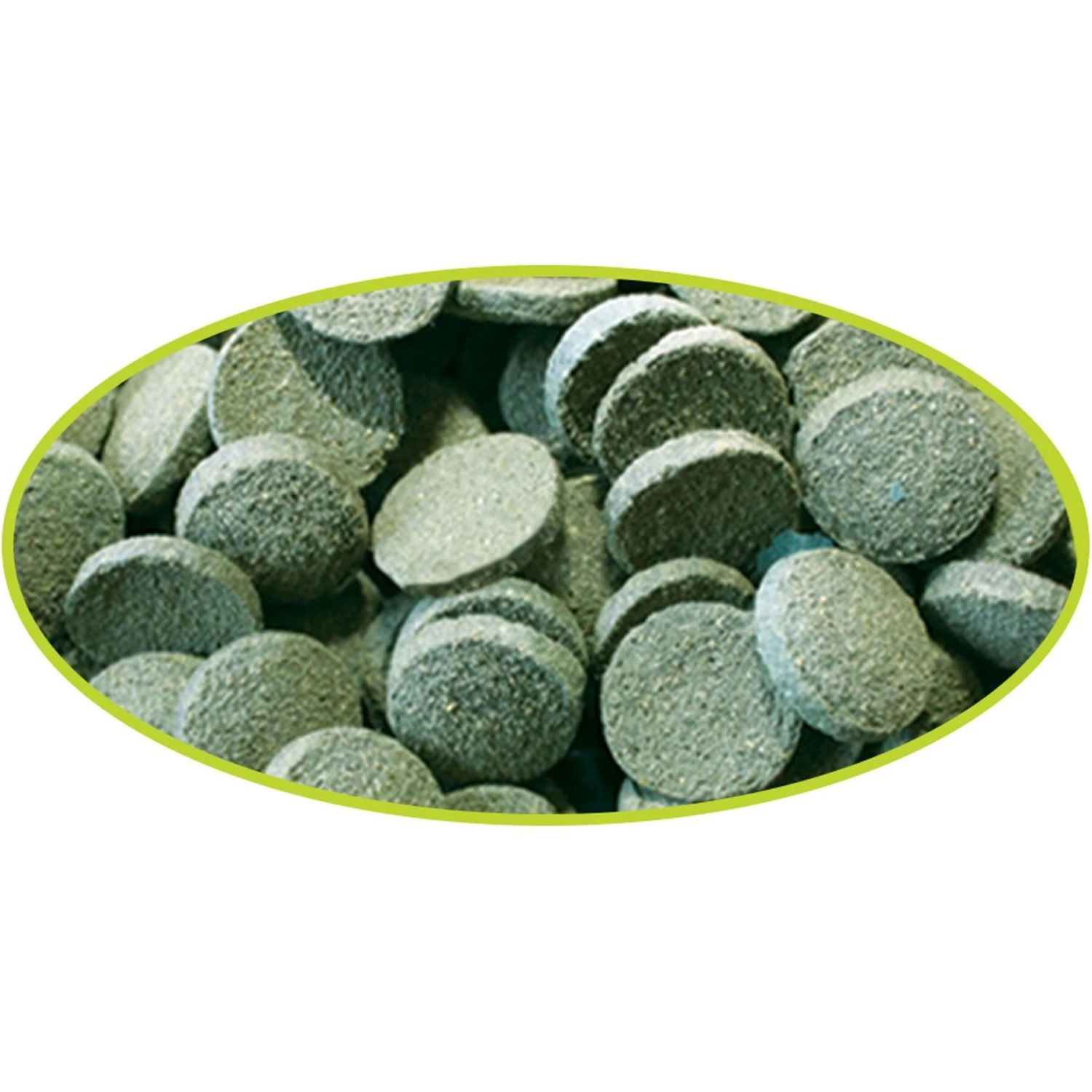 Cobalt Aquatics Select Algae Grazers Fish Food 5 Cobalt Aquatics Select Algae Grazers Fish Food - Image 3