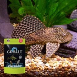 Cobalt Aquatics Select Algae Grazers Fish Food 10 Cobalt Aquatics Select Algae Grazers Fish Food -Plax Penn Shop 765838 PT3. AC SS1800 V1676321670
