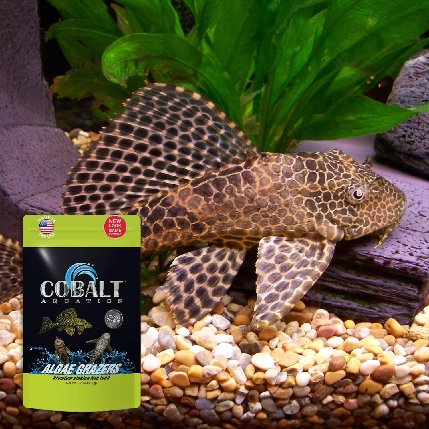 Cobalt Aquatics Select Algae Grazers Fish Food 6 Cobalt Aquatics Select Algae Grazers Fish Food - Image 4