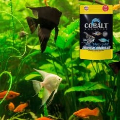 Cobalt Aquatics Tropical Granular Fish Food, 2.7-oz Pouch 10 Cobalt Aquatics Tropical Granular Fish Food, 2.7-oz Pouch -Plax Penn Shop 765854 PT3. AC SS1800 V1676322115