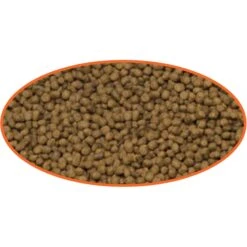 Cobalt Aquatics Select Goldfish Pellet Fish Food -Plax Penn Shop 765886 PT2. AC SS1800 V1676322172