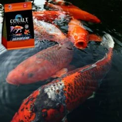 Cobalt Aquatics Select Goldfish & Koi Fish Food, 8.9-oz Pouch -Plax Penn Shop 765910 PT3. AC SS1800 V1676321729