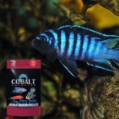 Cobalt Aquatics Cichlid Medium Pellet Fish Food -Plax Penn Shop 765934 PT3. AC SS1800 V1676321729
