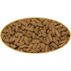 Cobalt Aquatics Bottom Feeder Pellet Fish Food, 7.5-oz Pouch 8 Cobalt Aquatics Bottom Feeder Pellet Fish Food, 7.5-oz Pouch -Plax Penn Shop 765966 PT2. AC SS1800 V1676321671