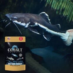Cobalt Aquatics Bottom Feeder Pellet Fish Food, 7.5-oz Pouch 9 Cobalt Aquatics Bottom Feeder Pellet Fish Food, 7.5-oz Pouch -Plax Penn Shop 765966 PT3. AC SS1800 V1676322172