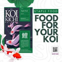 IKU KOI KICHI Staple Koi Fish Food -Plax Penn Shop 766174 PT3. AC SS1800 V1676384771