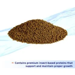 Aqueon Nutrinsect Fish-Free Fish Food Betta Pellets 11 Aqueon Nutrinsect Fish-Free Fish Food Betta Pellets -Plax Penn Shop 770422 PT2. AC SS1800 V1681850099