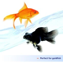 Aqueon Nutrinsect Fish-Free Fish Food Goldfish Flakes -Plax Penn Shop 770438 PT3. AC SS1800 V1681849214