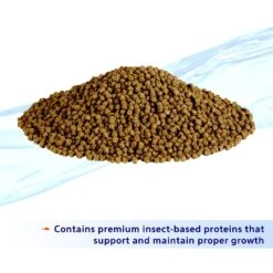 Aqueon Nutrinsect Fish-Free Fish Food Goldfish Pellets -Plax Penn Shop 770454 PT2. AC SS1800 V1681849798