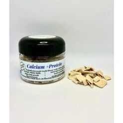 KatsAquatics Calcium + Protein Tablets Fish Food, 1.7-oz Jar -Plax Penn Shop 790998 PT3. AC SS1800 V1678904656