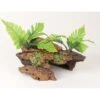 Marina Naturals Malaysian Driftwood With Plants Fish Ornaments, Medium