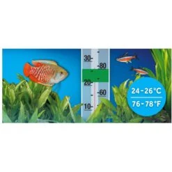 Fluval P50 Pre-Set Aquarium Fish Heater 11 Fluval P50 Pre-Set Aquarium Fish Heater -Plax Penn Shop 793014 PT4. AC SS1800 V1689345044