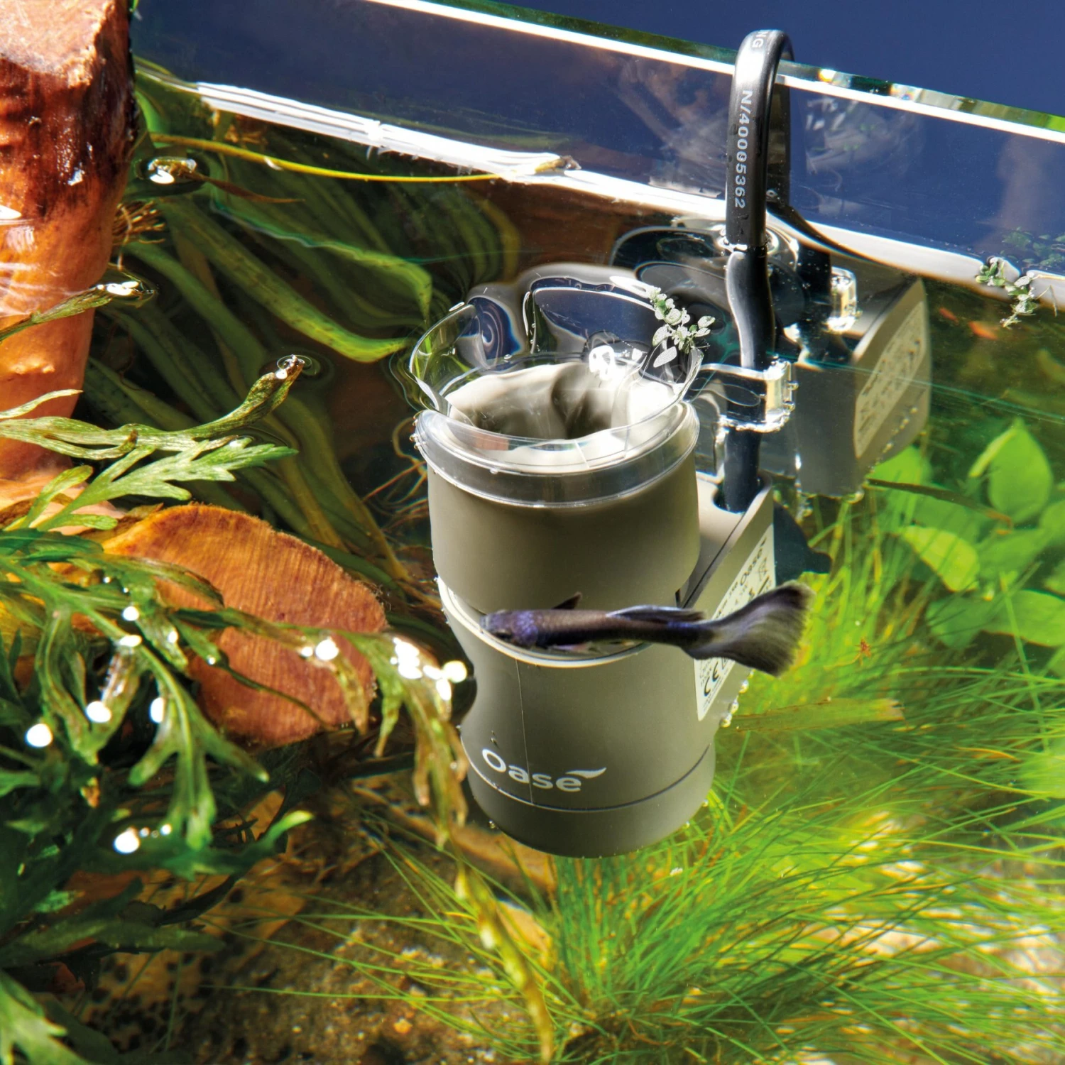 OASE Indoor Aquatics CrystalSkim 600 Fish Filter 6 OASE Indoor Aquatics CrystalSkim 600 Fish Filter - Image 4