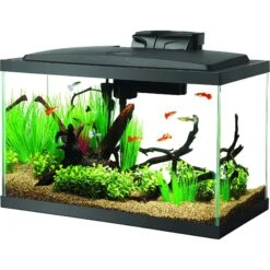 Aqueon Forge Metal Aquarium Stand, Black & Brown & Aqueon LED Fish Aquarium Starter Kit, 10-gal 17 Aqueon Forge Metal Aquarium Stand, Black & Brown & Aqueon LED Fish Aquarium Starter Kit, 10-gal -Plax Penn Shop 811494 PT6. AC SS1800 V1679069092