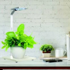 Penn-Plax Eco-Grow Decorative Plant LED Light & Stand Fish Light Fixture 12 Penn-Plax Eco-Grow Decorative Plant LED Light & Stand Fish Light Fixture -Plax Penn Shop 875566 PT4. AC SS1800 V1686336571