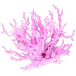 Penn-Plax Officially Licensed SpongeBob SquarePants Aquarium Fish Accessories, Multicolor 15 Penn-Plax Officially Licensed SpongeBob SquarePants Aquarium Fish Accessories, Multicolor -Plax Penn Shop 875598 PT5. AC SS1800 V1686336632