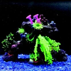 Penn-Plax Coral Reef Aquarium Decoration Fish Ornament -Plax Penn Shop 875926 PT2. AC SS1800 V1686336631