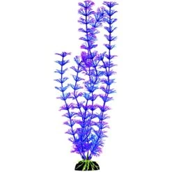 Penn-Plax Aqua-Plants Plastic Aquarium 6 Piece Fish Plant -Plax Penn Shop 880550 PT3. AC SS1800 V1688155627