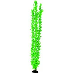 Penn-Plax Aqua-Plants Plastic Aquarium 2 Piece Fish Plant 7 Penn-Plax Aqua-Plants Plastic Aquarium 2 Piece Fish Plant -Plax Penn Shop 880606 PT1. AC SS1800 V1688391859
