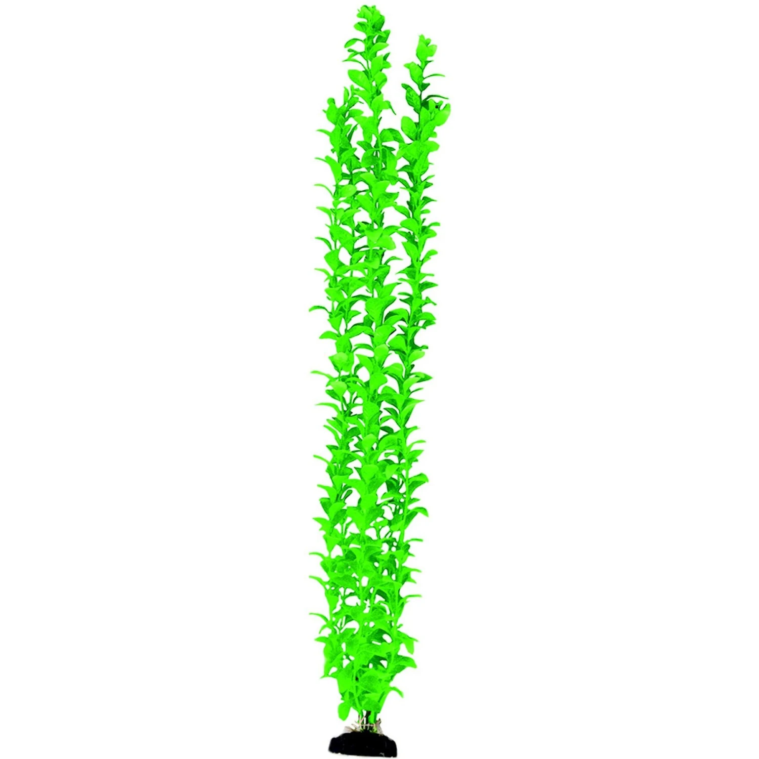 Penn-Plax Aqua-Plants Plastic Aquarium 2 Piece Fish Plant 4 Penn-Plax Aqua-Plants Plastic Aquarium 2 Piece Fish Plant - Image 2
