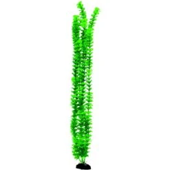 Penn-Plax Aqua-Plants Plastic Aquarium 2 Piece Fish Plant 8 Penn-Plax Aqua-Plants Plastic Aquarium 2 Piece Fish Plant -Plax Penn Shop 880606 PT2. AC SS1800 V1688146942