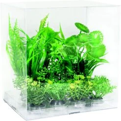 Penn-Plax Aqua-Plant 6-Piece Artificial Fish Plant 9 Penn-Plax Aqua-Plant 6-Piece Artificial Fish Plant -Plax Penn Shop 880630 PT2. AC SS1800 V1688146823