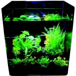 Penn-Plax Aqua-Plant 6-Piece Artificial Fish Plant 11 Penn-Plax Aqua-Plant 6-Piece Artificial Fish Plant -Plax Penn Shop 880630 PT4. AC SS1800 V1688393244